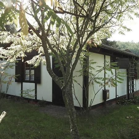 Modrzewiowy Domek Letniskowy - Stare Czaple Brodnica (Kartuzy) Exterior foto