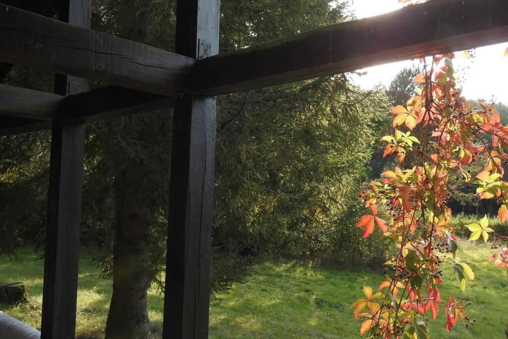 Modrzewiowy Domek Letniskowy - Stare Czaple Brodnica (Kartuzy) Exterior foto