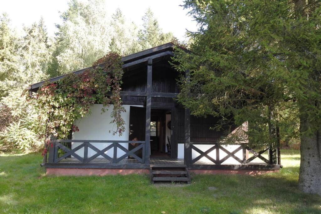 Modrzewiowy Domek Letniskowy - Stare Czaple Brodnica (Kartuzy) Exterior foto