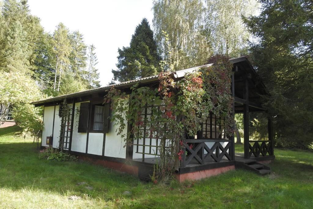 Modrzewiowy Domek Letniskowy - Stare Czaple Brodnica (Kartuzy) Exterior foto