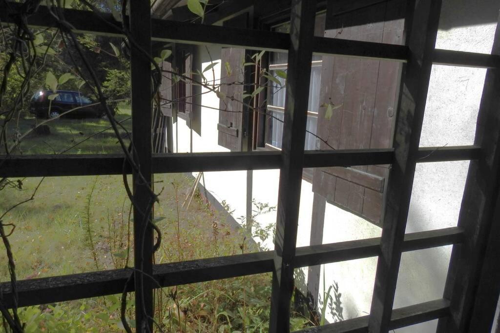 Modrzewiowy Domek Letniskowy - Stare Czaple Brodnica (Kartuzy) Exterior foto